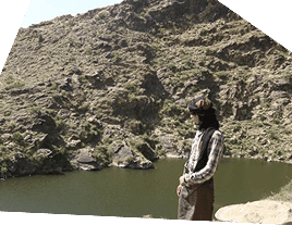 Transition into organic farming