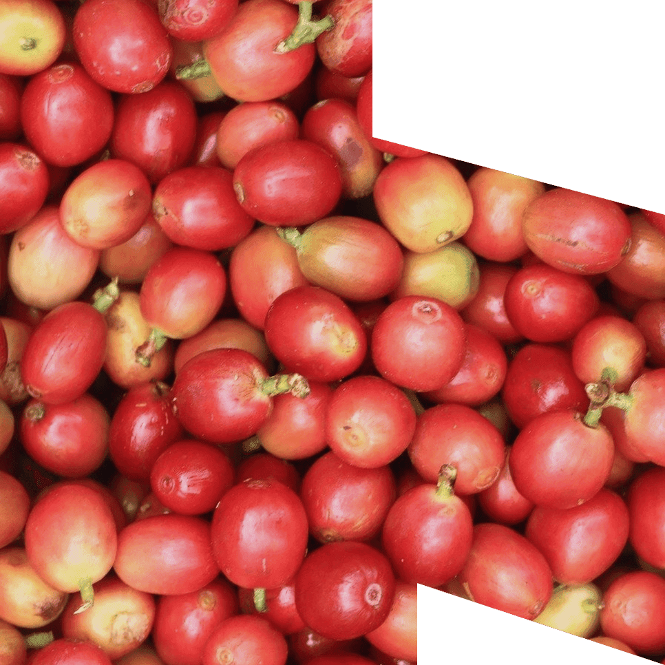 Environmental impact